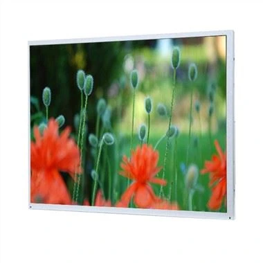 19 tuuman LCD Uusi alkuperäinen LQ190E1LW02